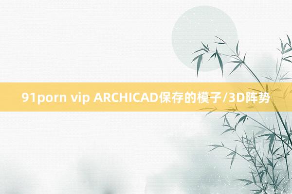 91porn vip ARCHICAD保存的模子/3D阵势