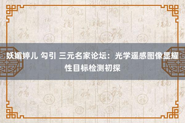 妖媚婷儿 勾引 三元名家论坛：光学遥感图像显耀性目标检测初探