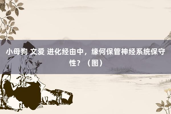 小母狗 文爱 进化经由中，缘何保管神经系统保守性？（图）