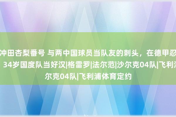 冲田杏梨番号 与两中国球员当队友的刺头，在德甲忍七年之痒，34岁国度队当好汉|格雷罗|法尔范|沙尔克04队|飞利浦体育定约