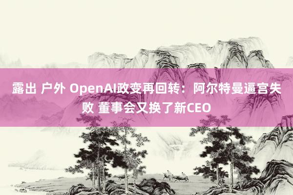 露出 户外 OpenAI政变再回转：阿尔特曼逼宫失败 董事会又换了新CEO