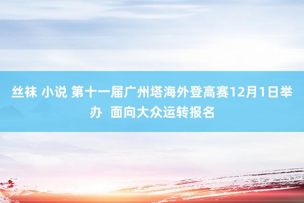 丝袜 小说 第十一届广州塔海外登高赛12月1日举办  面向大众运转报名