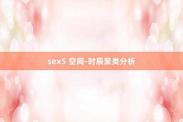 sex5 空间-时辰聚类分析