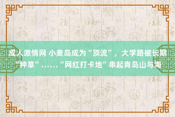 成人激情网 小麦岛成为“顶流”，大学路被长期“种草”……“网红打卡地”串起青岛山与海