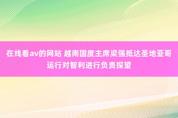 在线看av的网站 越南国度主席梁强抵达圣地亚哥运行对智利进行负责探望