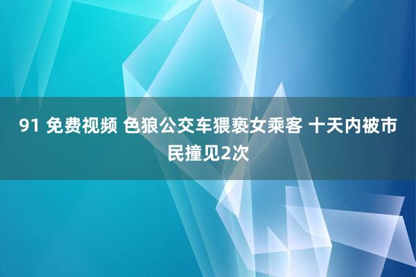 91 免费视频 色狼公交车猥亵女乘客 十天内被市民撞见2次