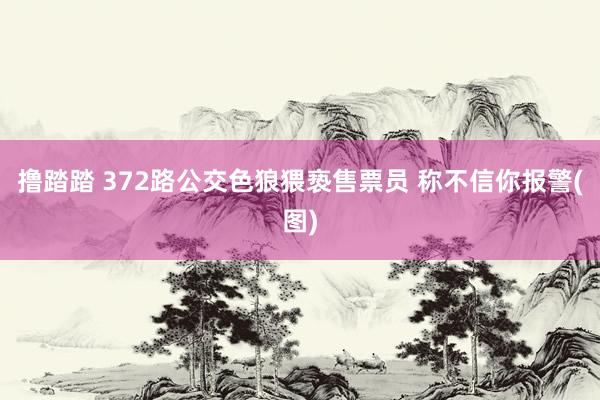 撸踏踏 372路公交色狼猥亵售票员 称不信你报警(图)