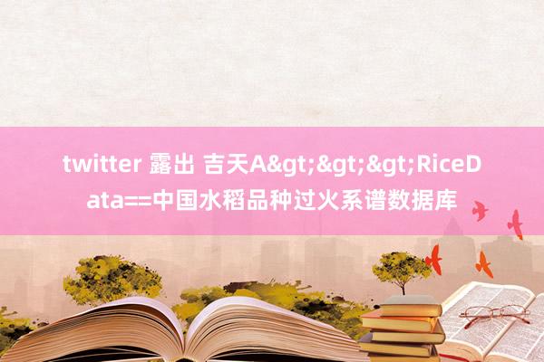 twitter 露出 吉天A>>>RiceData==中国水稻品种过火系谱数据库